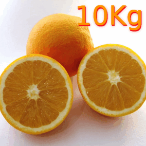 Naranjas Navel Ecológicas Caja de 10 Kg