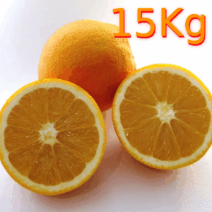 Naranjas Navel Ecológicas Caja de 15 Kg