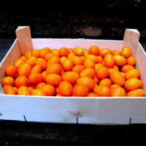 Kumquat ecológico 1Kg