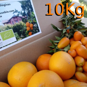 9 kgs Naranjas Ecológicas + 1 kg de Kumquats Ecológicos