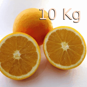 Bio-Navel Orangen 10 Kg Dose